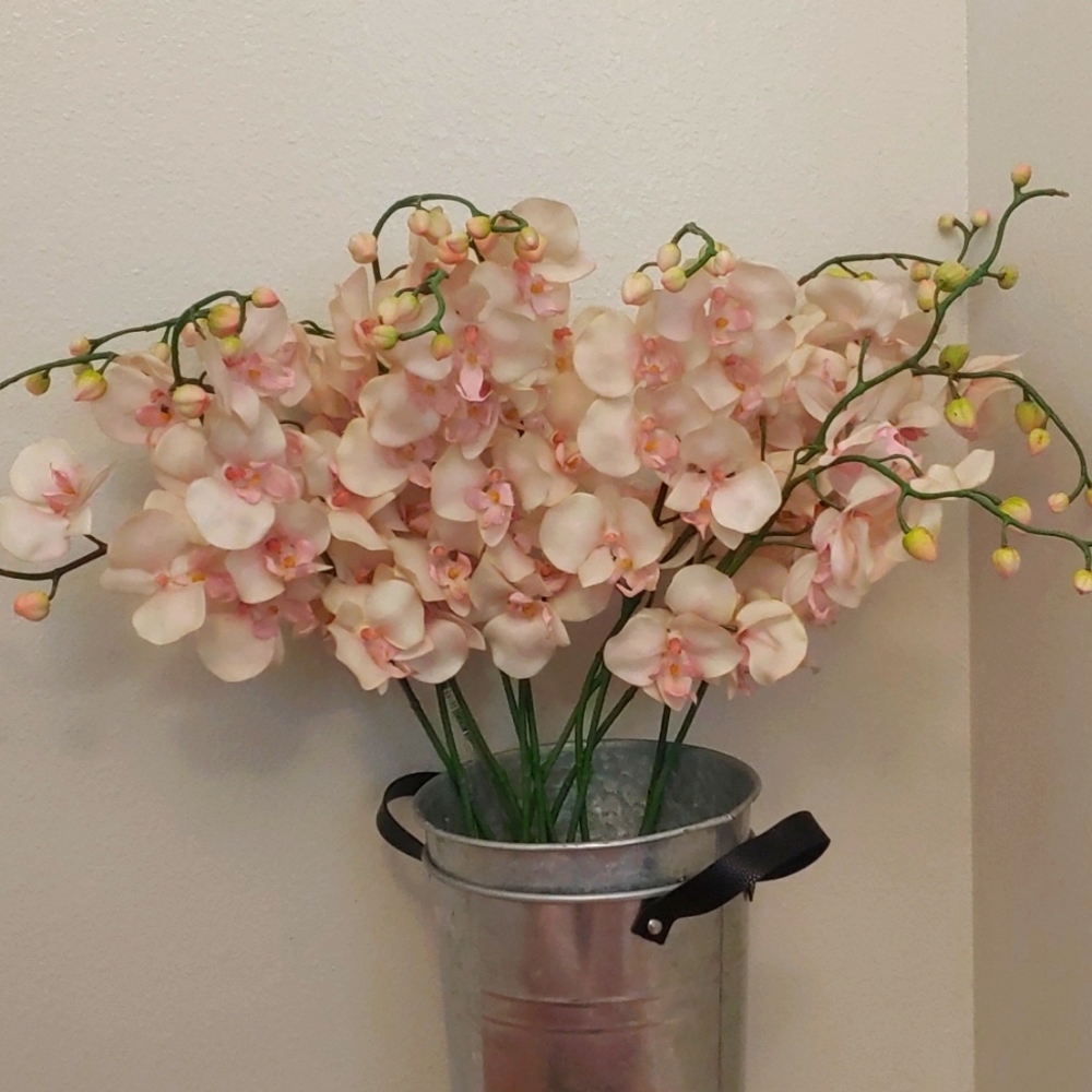 13 Long-Stem Light Pink Orchids